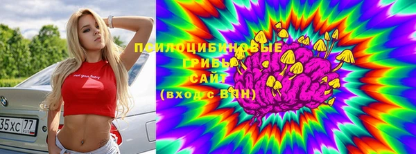 ALPHA PVP Протвино