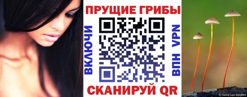 Псилоцибиновые грибы ЛСД  Купить  Талица 